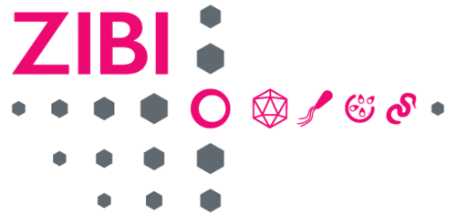 Logo ZIBI