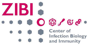 Download ZIBI Logo (JPEG)